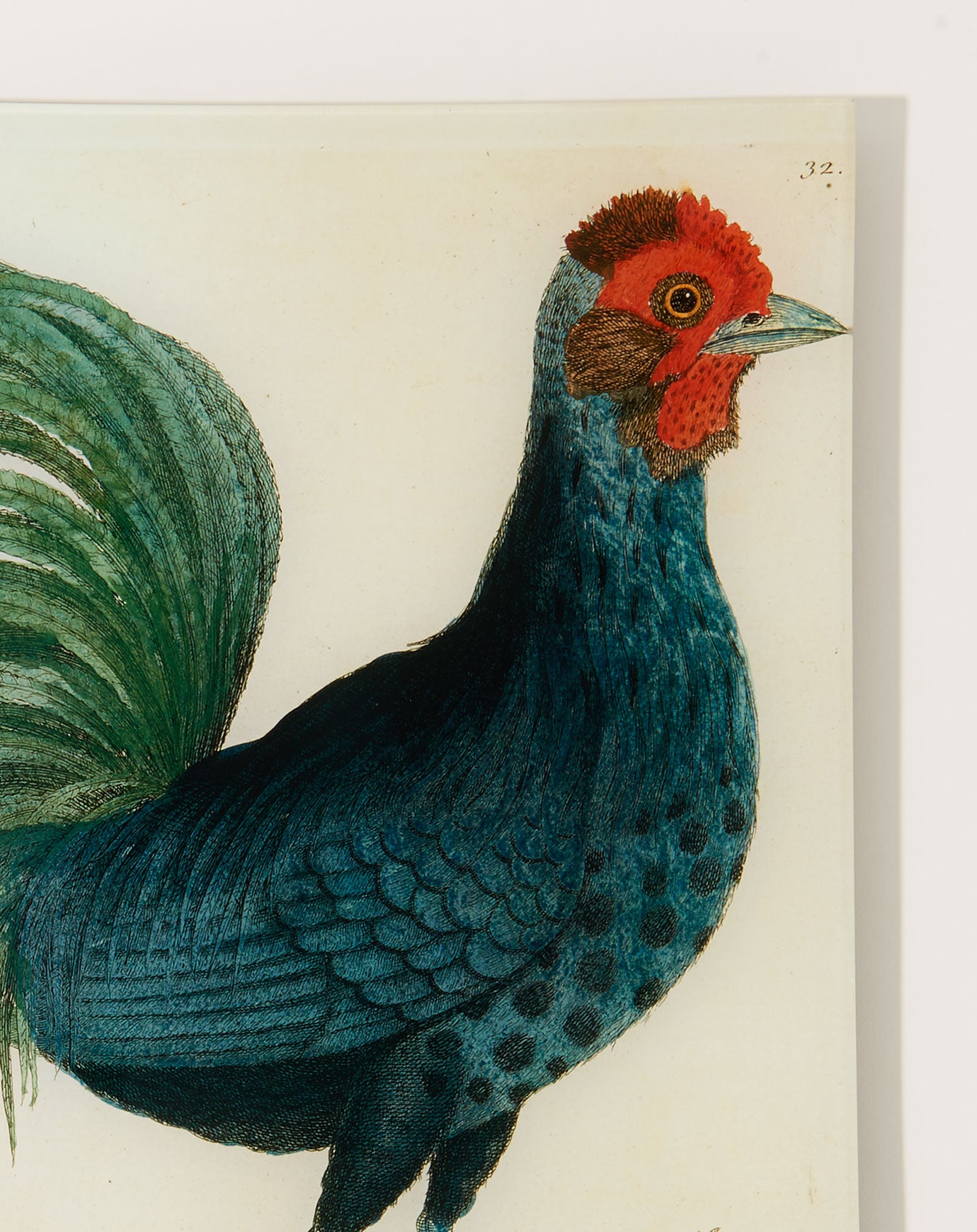 John Derian #17 Hamburg Cock Tray