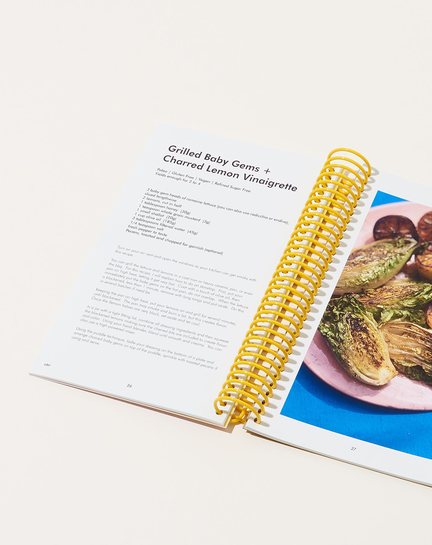 Loria Stern Citri Cookbook Zine