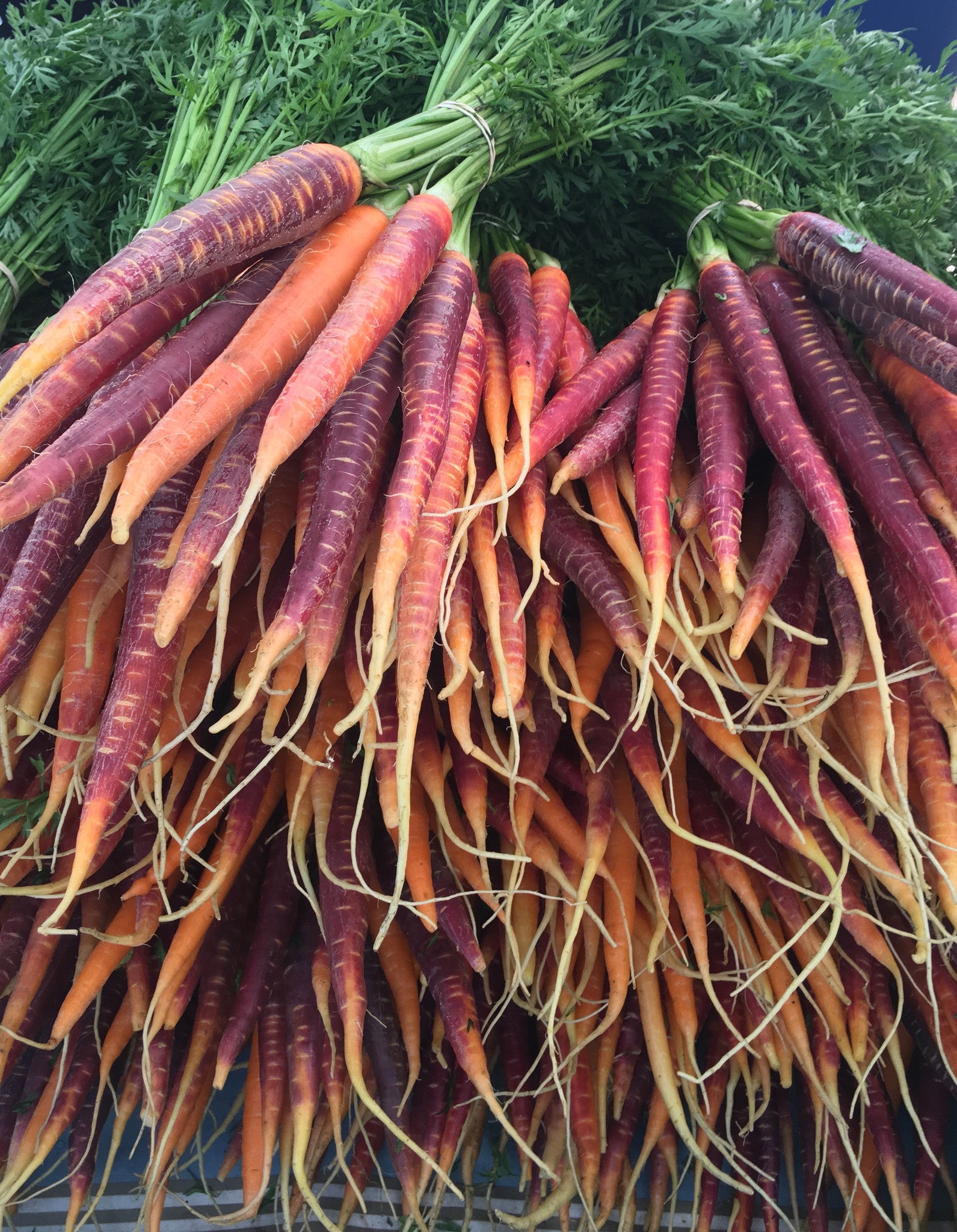 The Rambler: Dane County Farmer’s Market