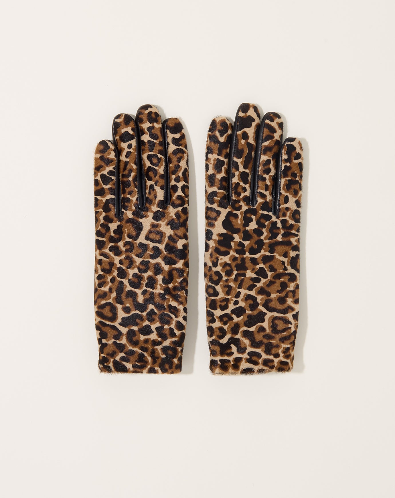 Agnelle Susan Glove in Noir and Panthere