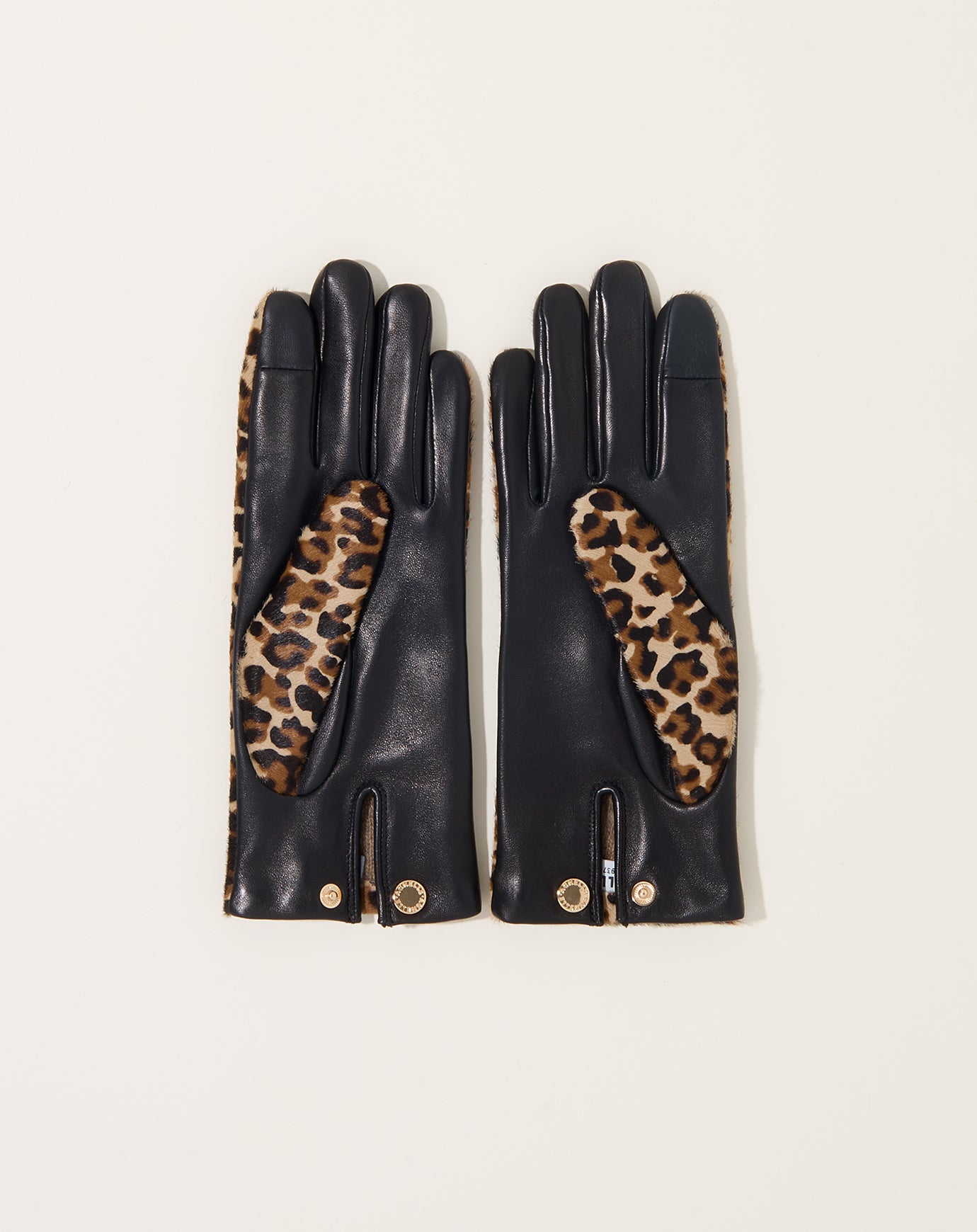 Agnelle Susan Glove in Noir and Panthere