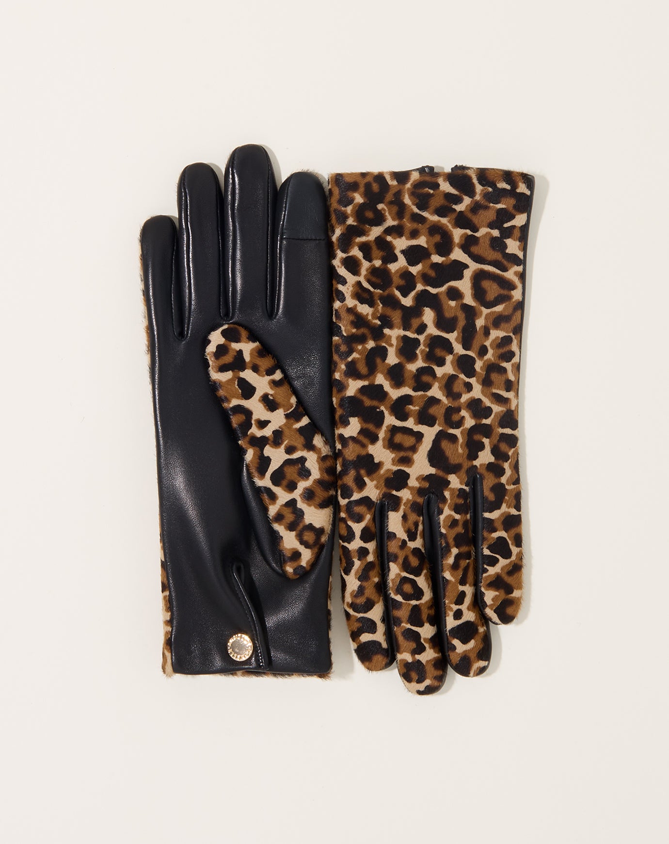 Agnelle Susan Glove in Noir and Panthere