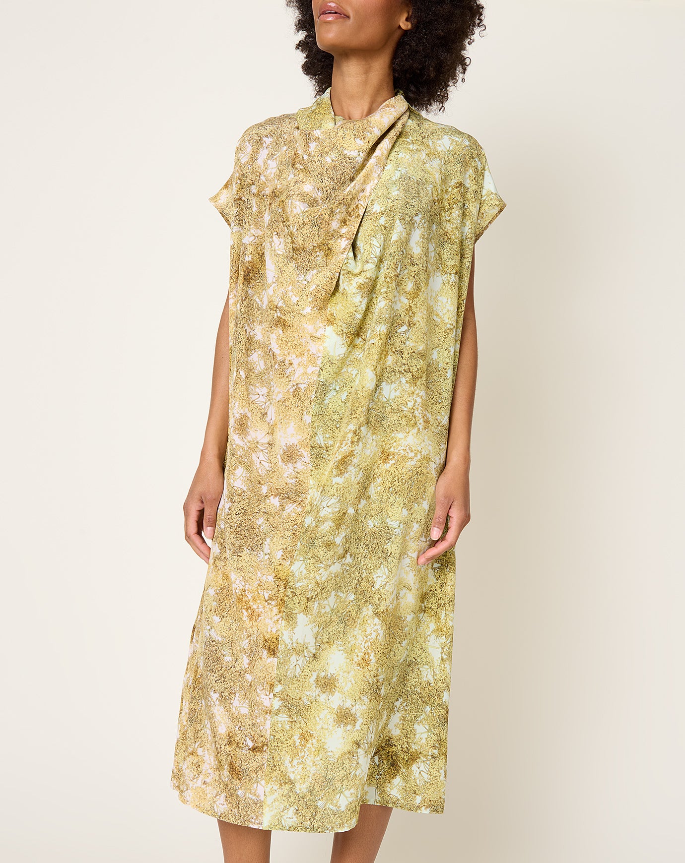 Anntian Peak Silk Dress in PRINT N