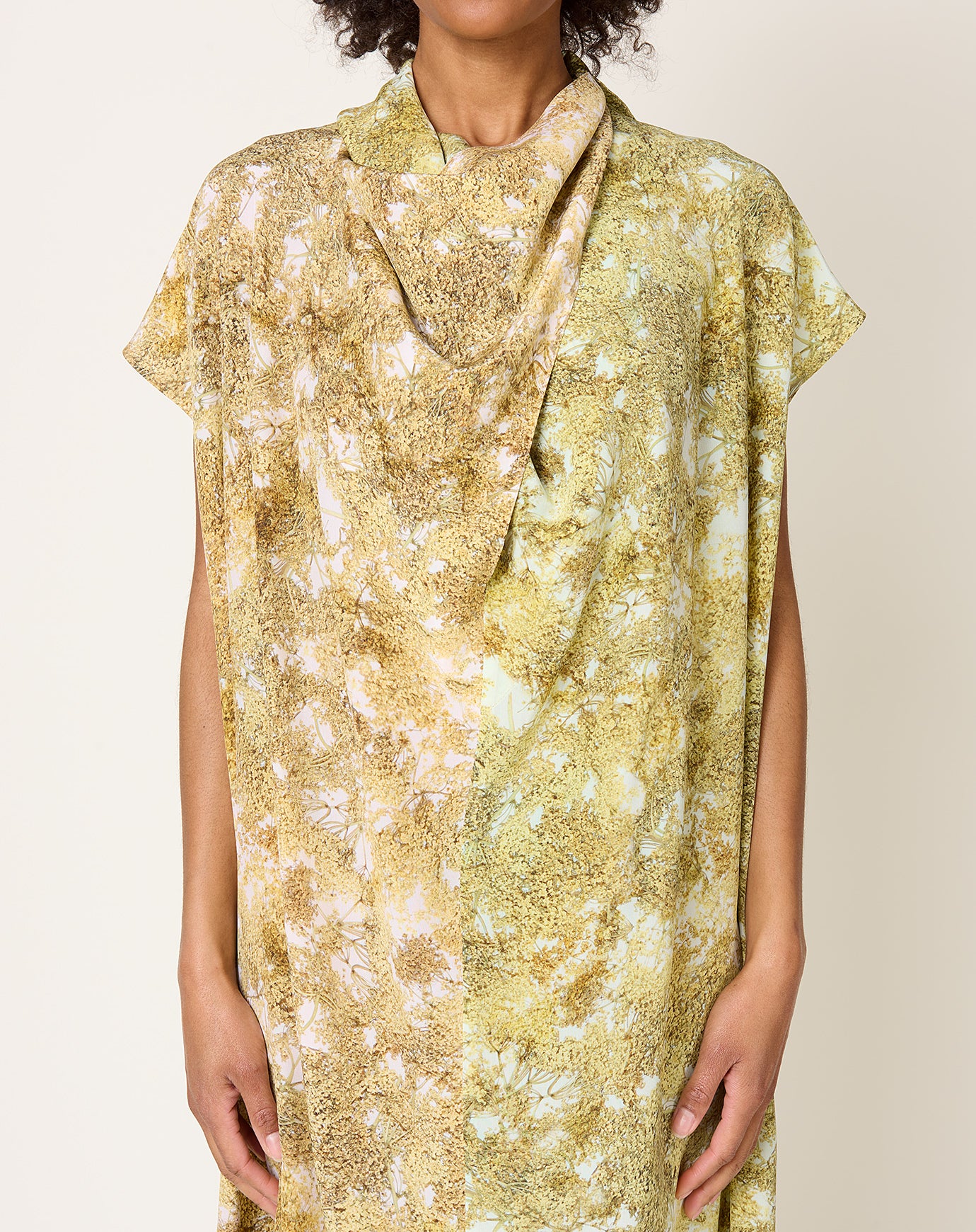 Anntian Peak Silk Dress in PRINT N