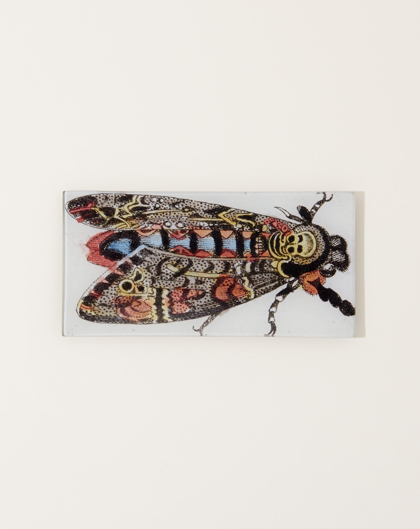 John Derian Death Head Moth Rectangular Tray