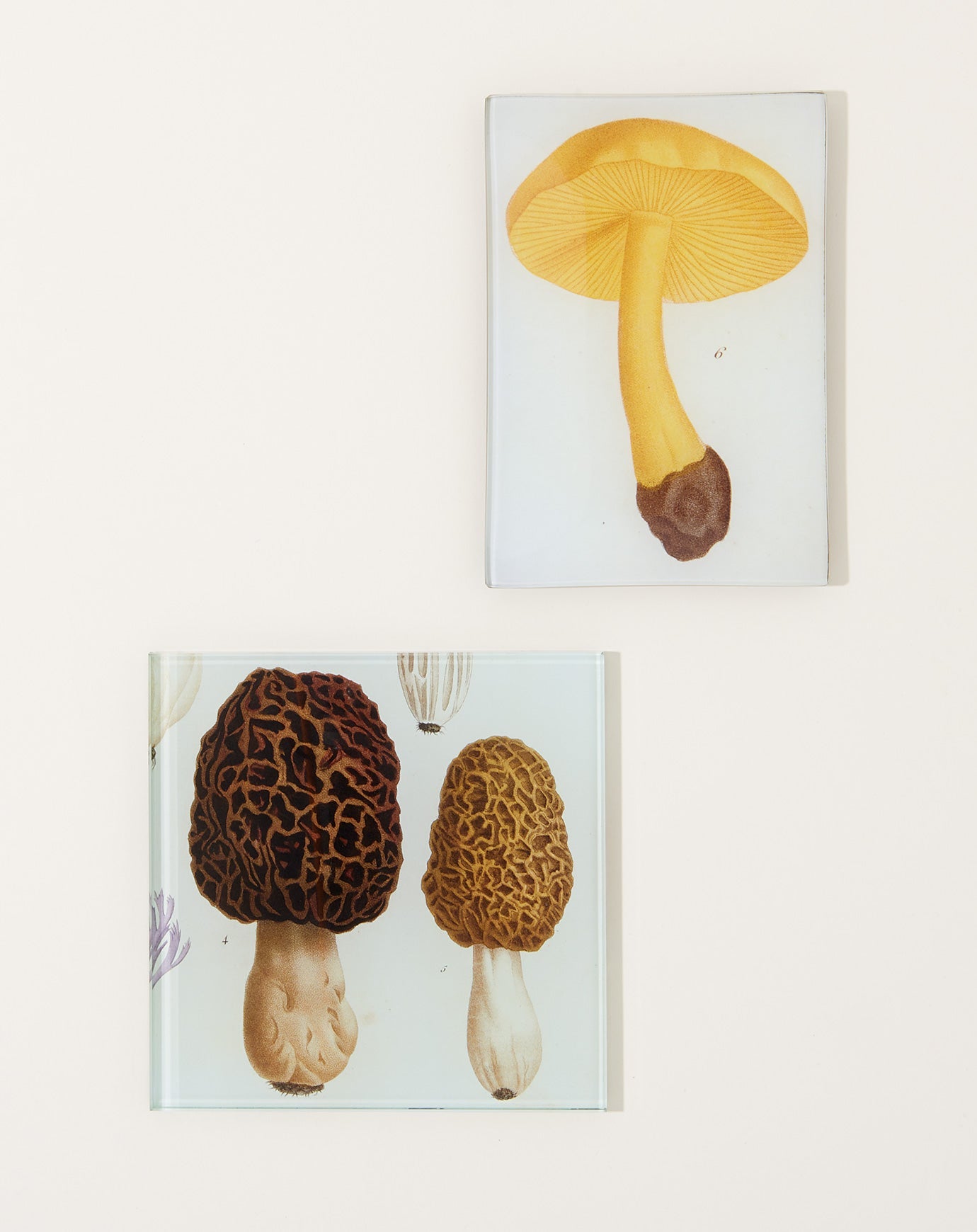 John Derian Mushroom Fig. 6 Mini Tray