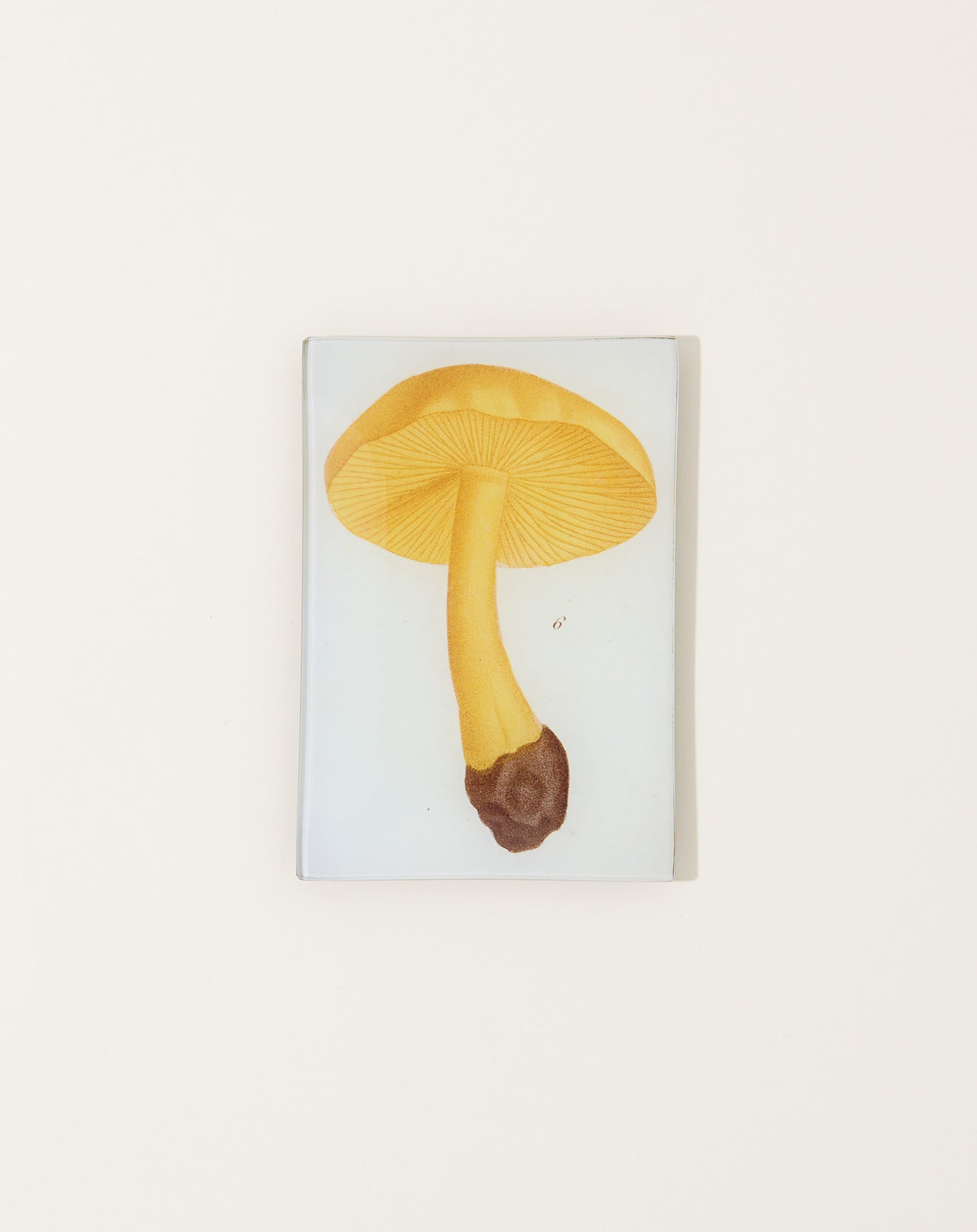 John Derian Mushroom Fig. 6 Mini Tray