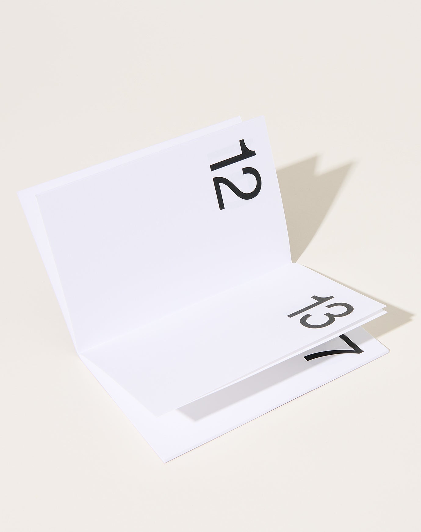 Marjolein Delhaas Journal 31 – No. 255