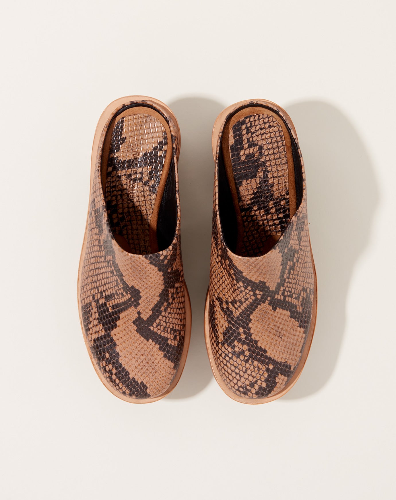 Rachel Comey Sesley Clog in Snake Print