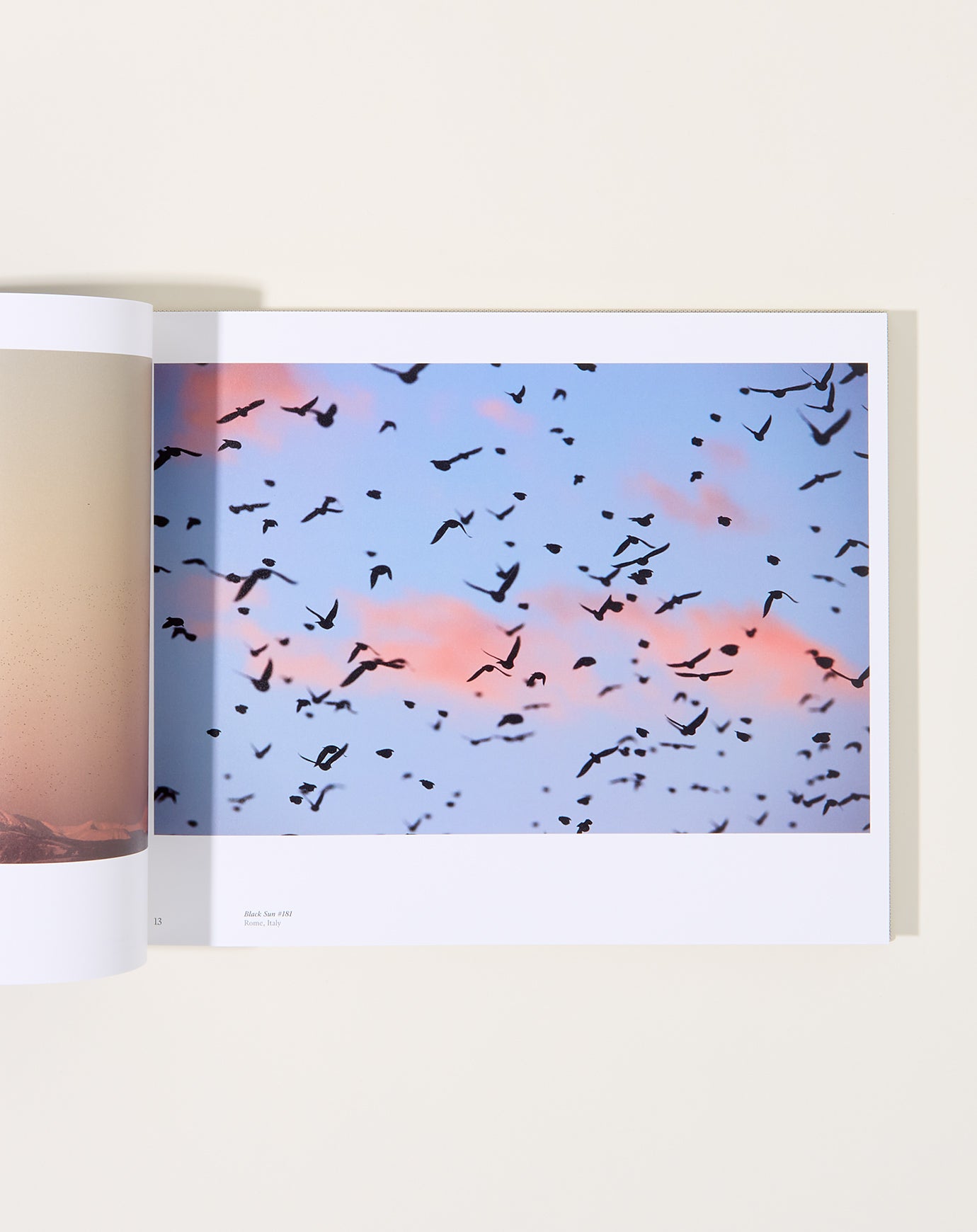 Artbook Søren Solkær: Starling