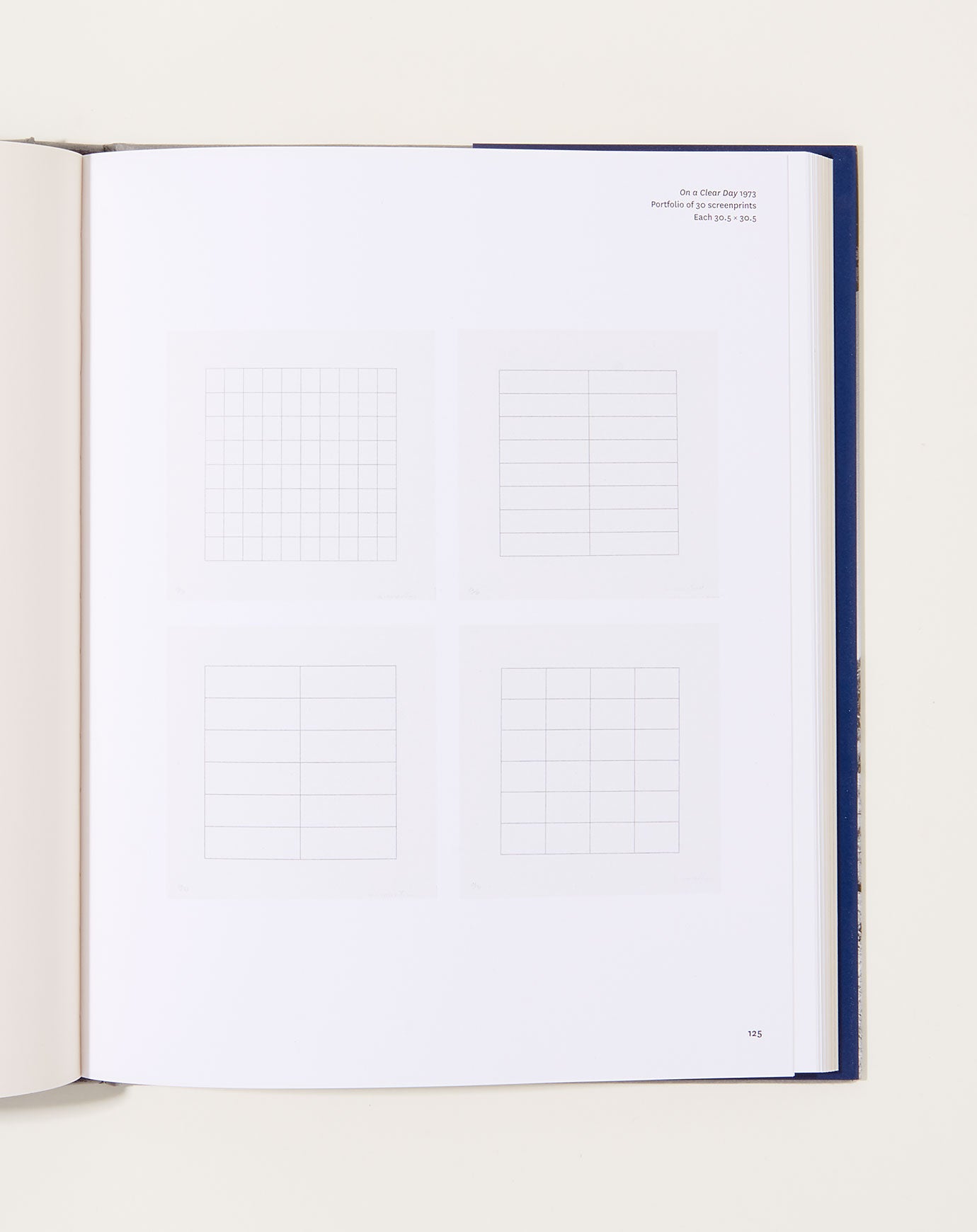 Agnes Martin Monograph