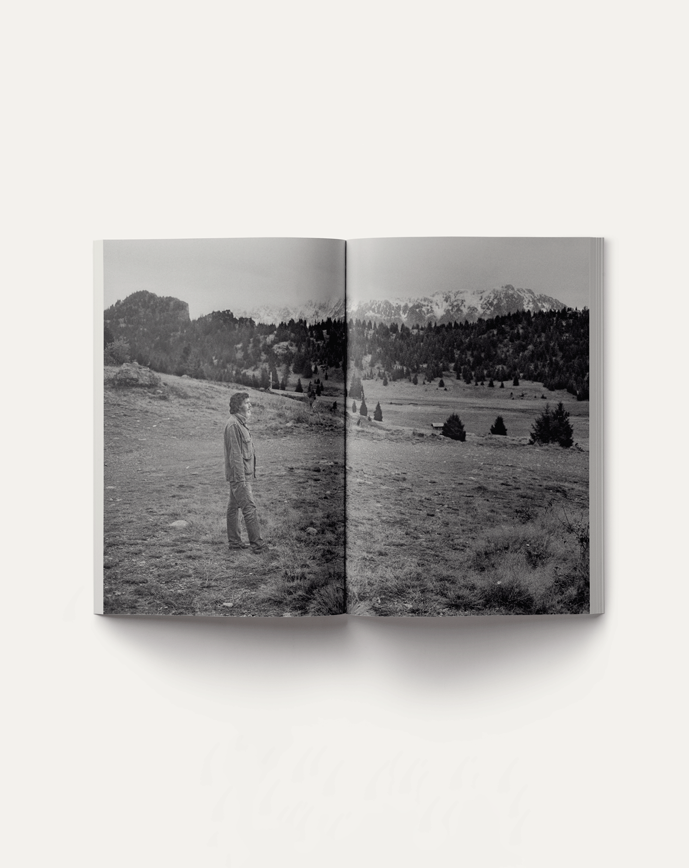 Artbook John Cage: A Mycological Foray