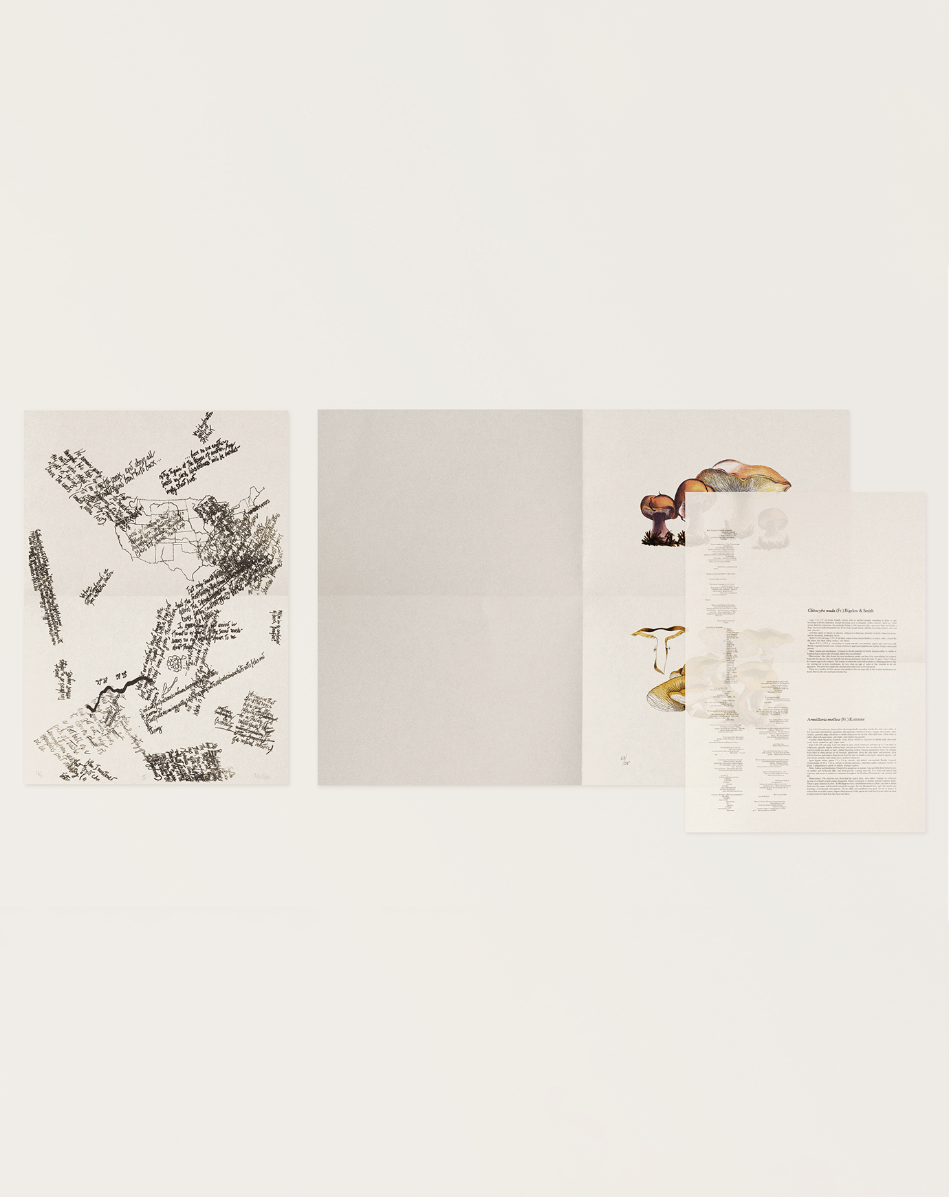 Artbook John Cage: A Mycological Foray