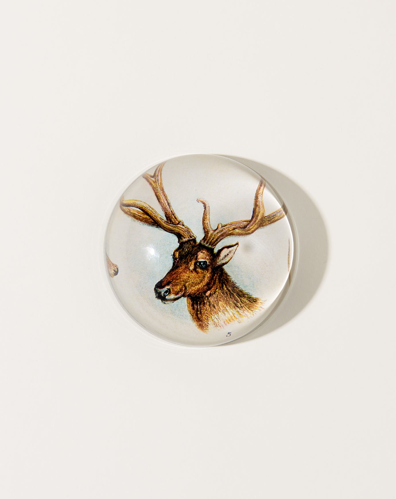 John Derian 11 Tipped Deer Dome Paperweight