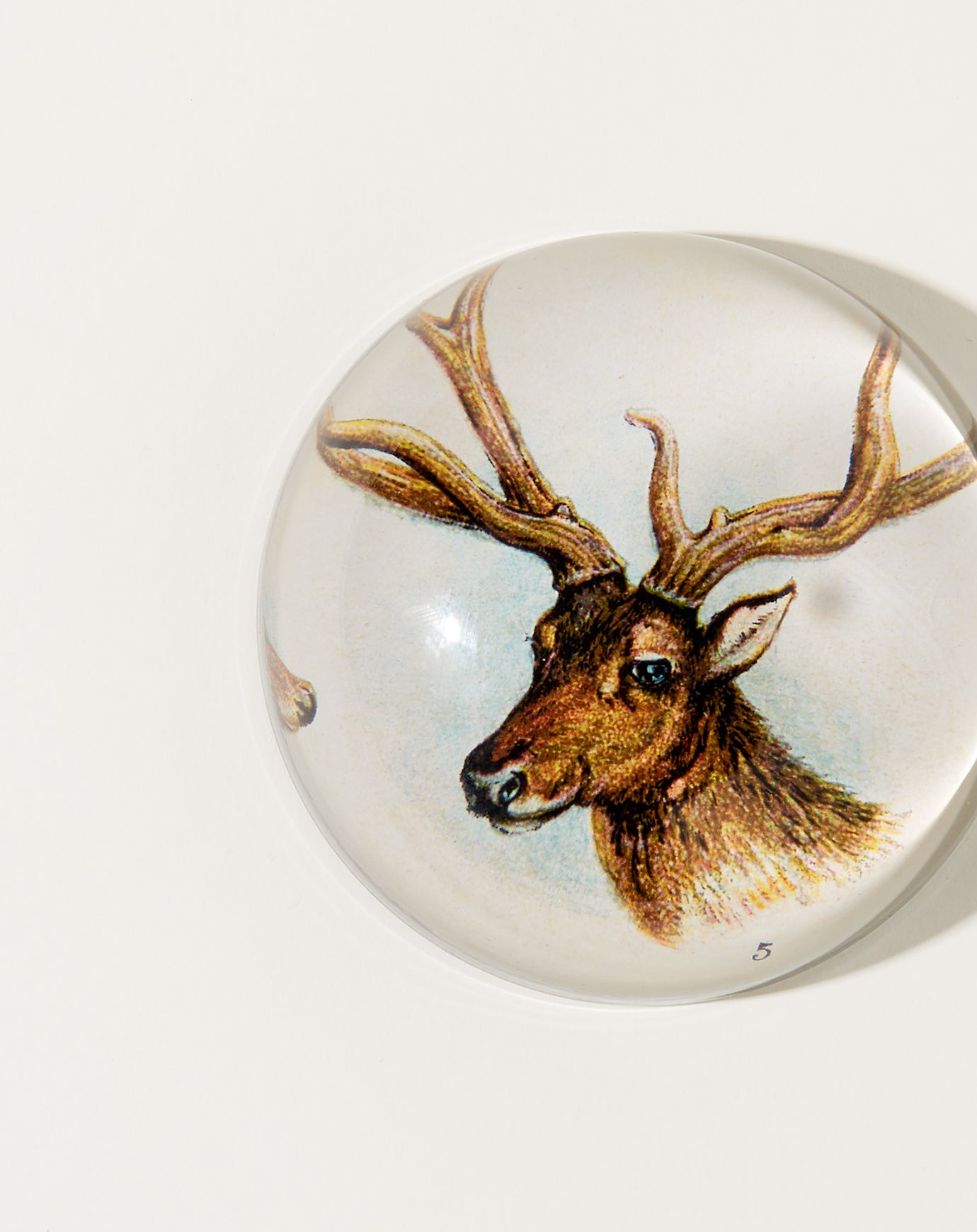 John Derian 11 Tipped Deer Dome Paperweight