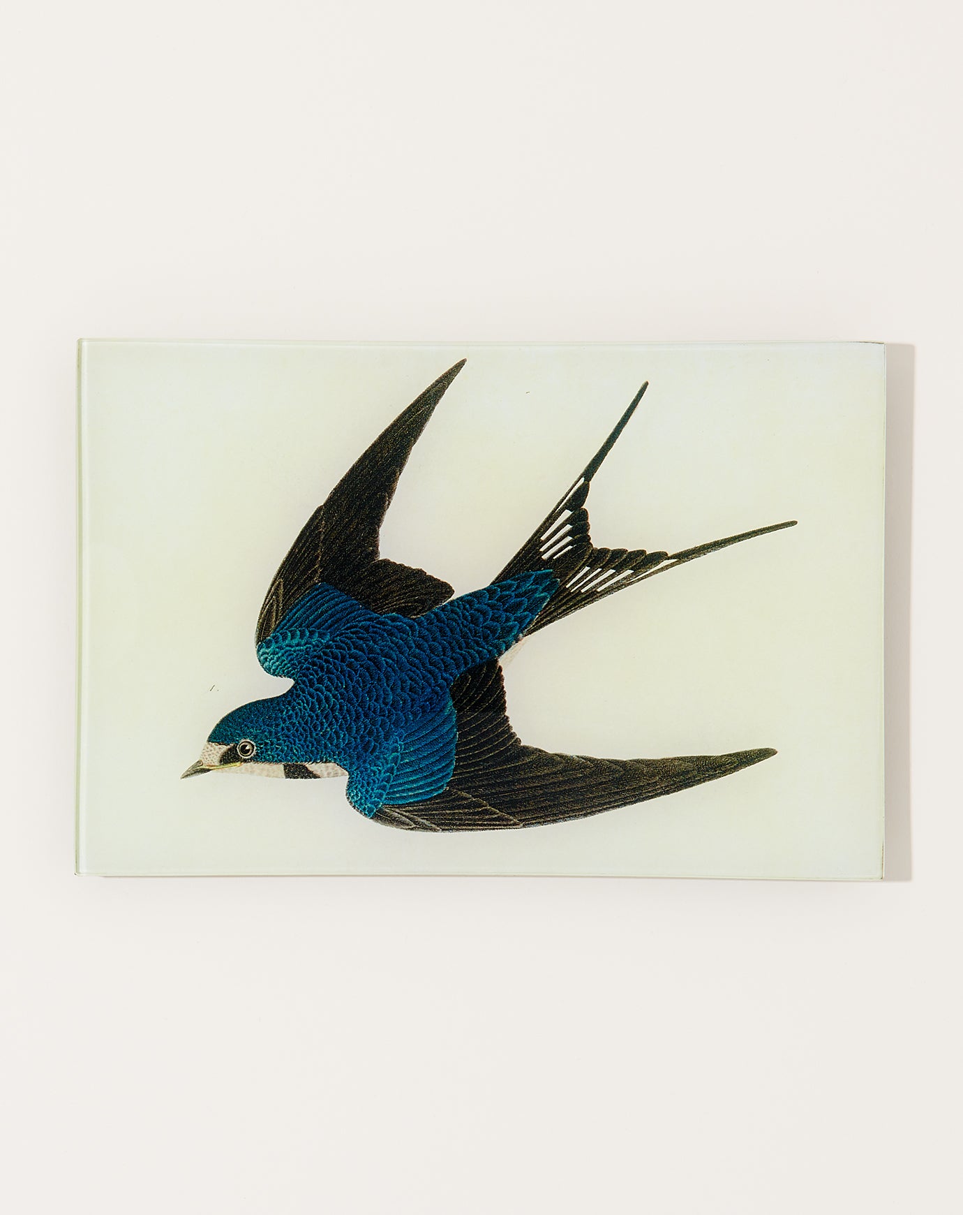 John Derian Barn Swallow Tray