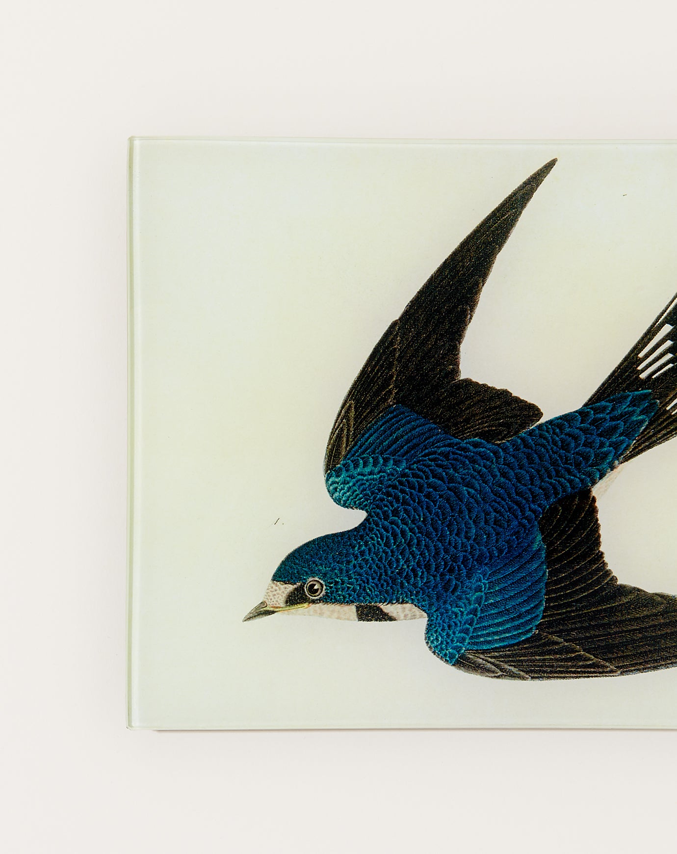 John Derian Barn Swallow Tray