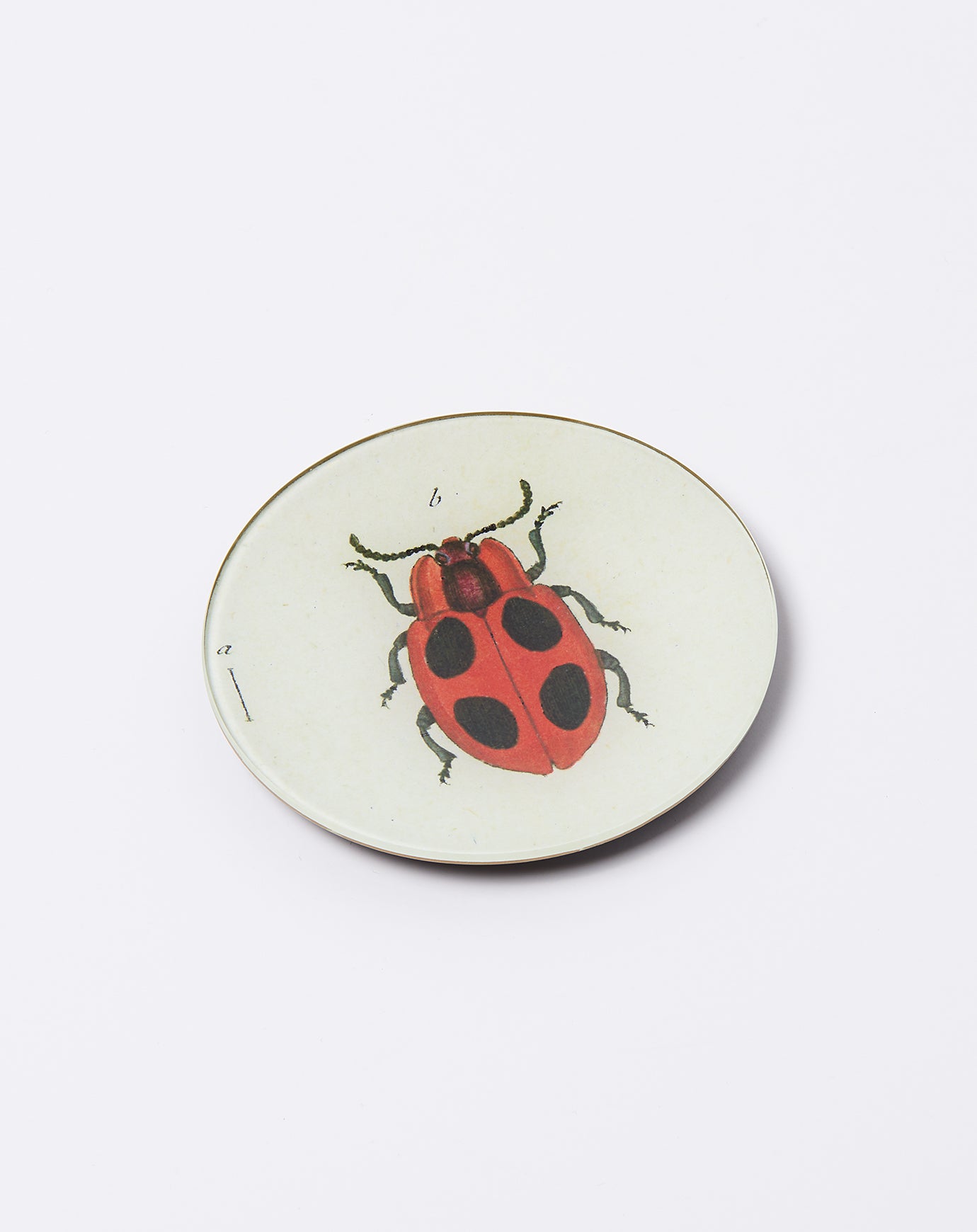 John Derian Big Dot Lady Bug 5 3/4" Round