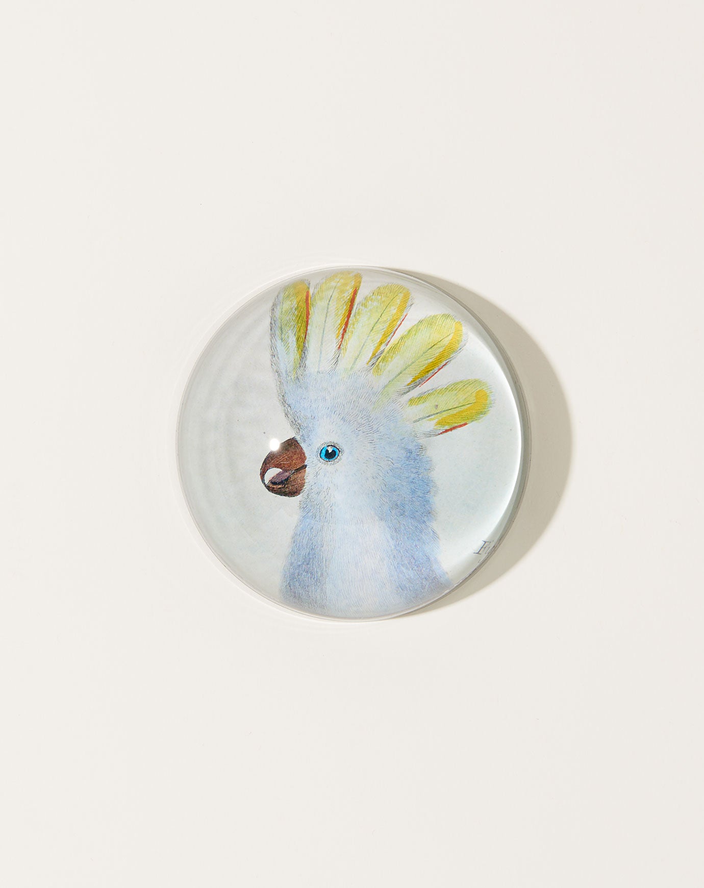 John Derian Cockadoodle Paperweight