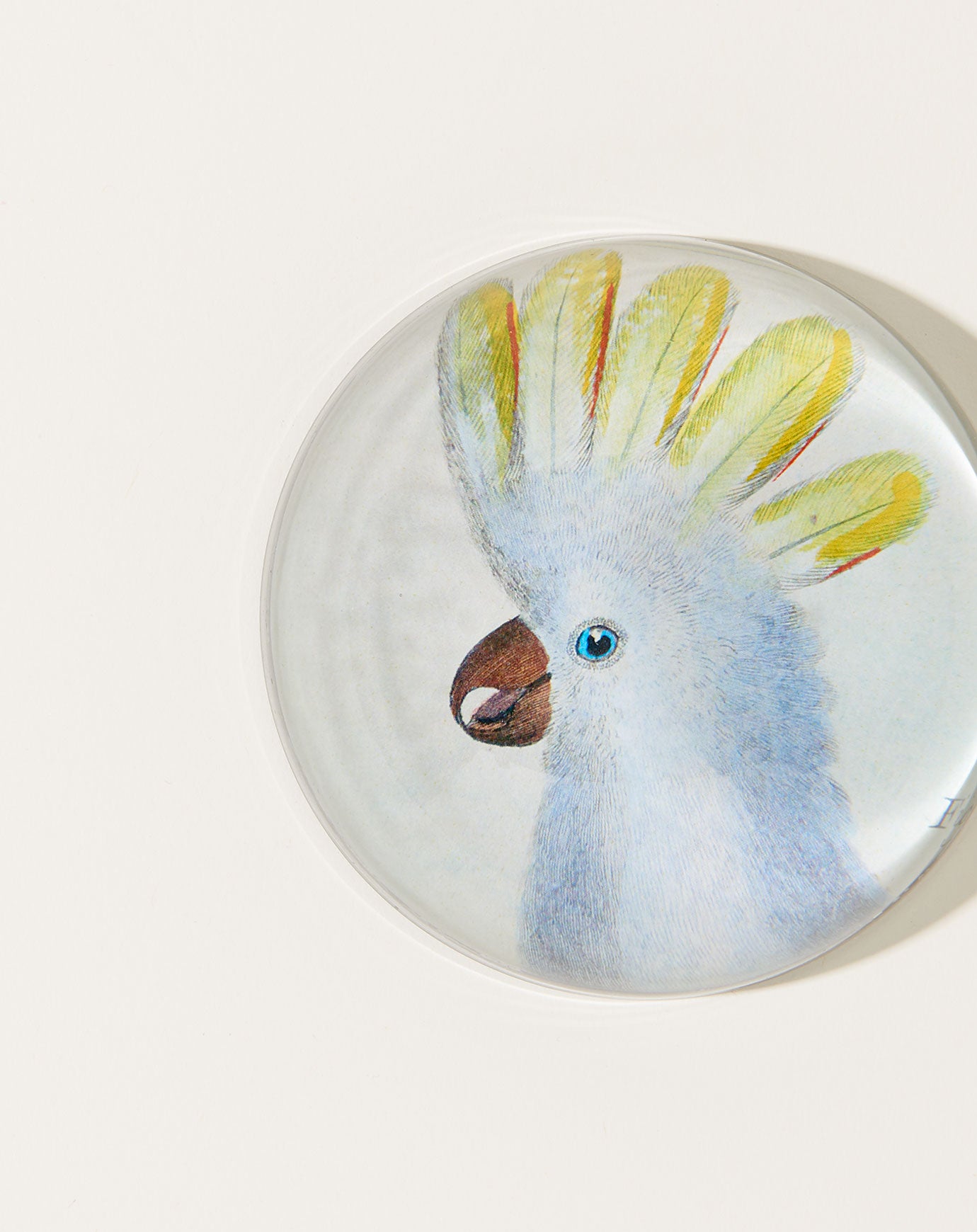 John Derian Cockadoodle Paperweight