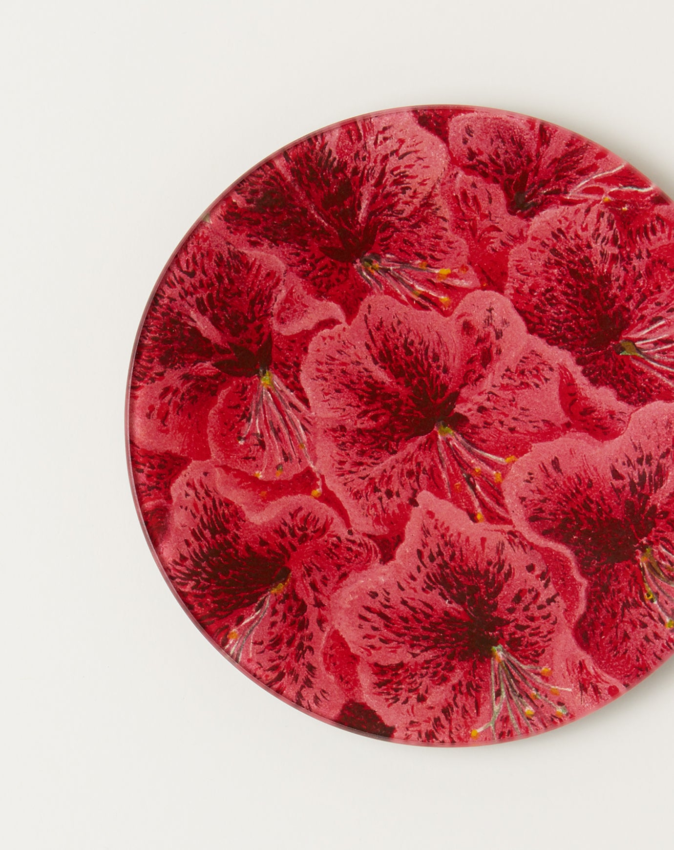 John Derian Deep Azalea 5 3/4" Round