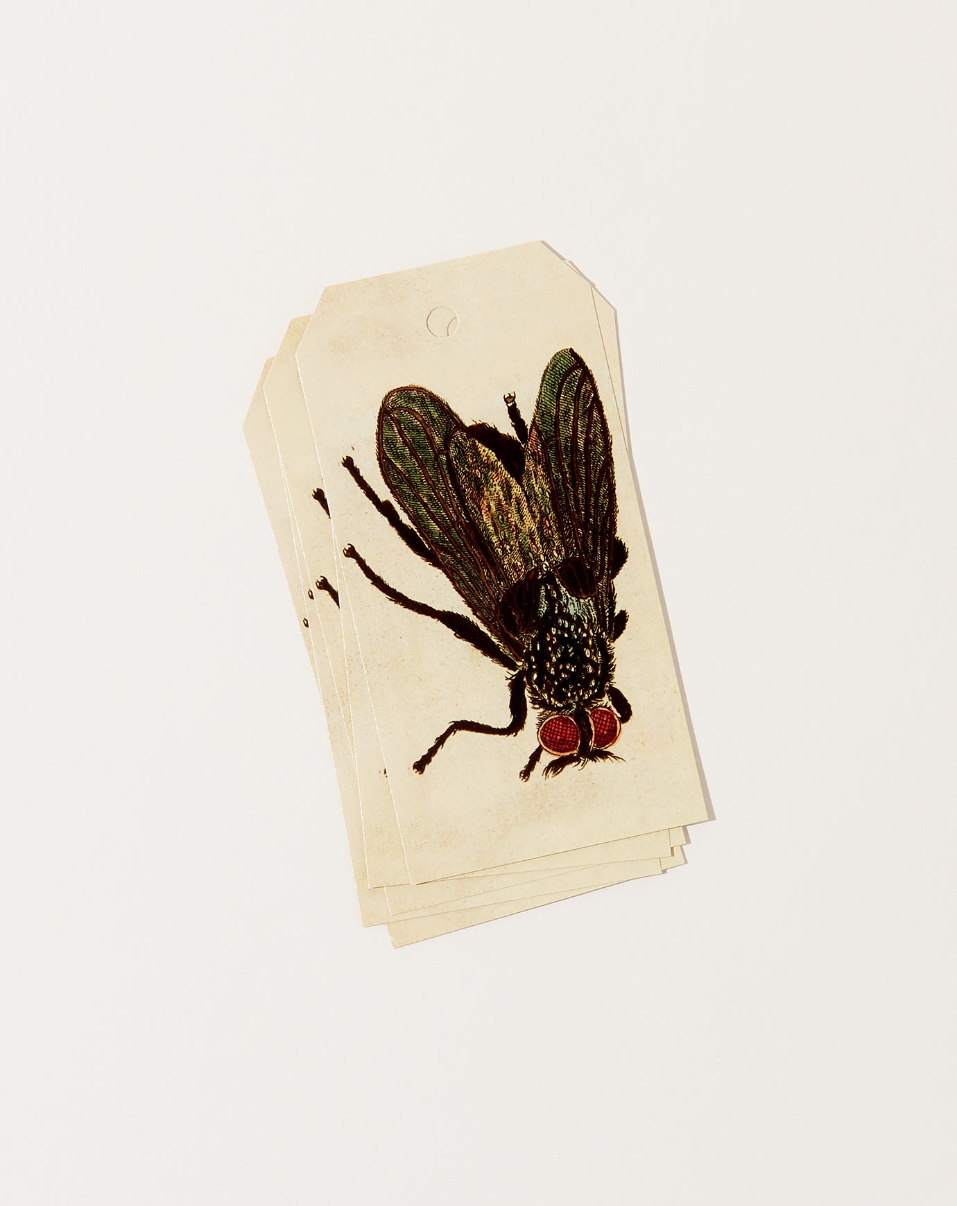 John Derian Fly Gift Tags
