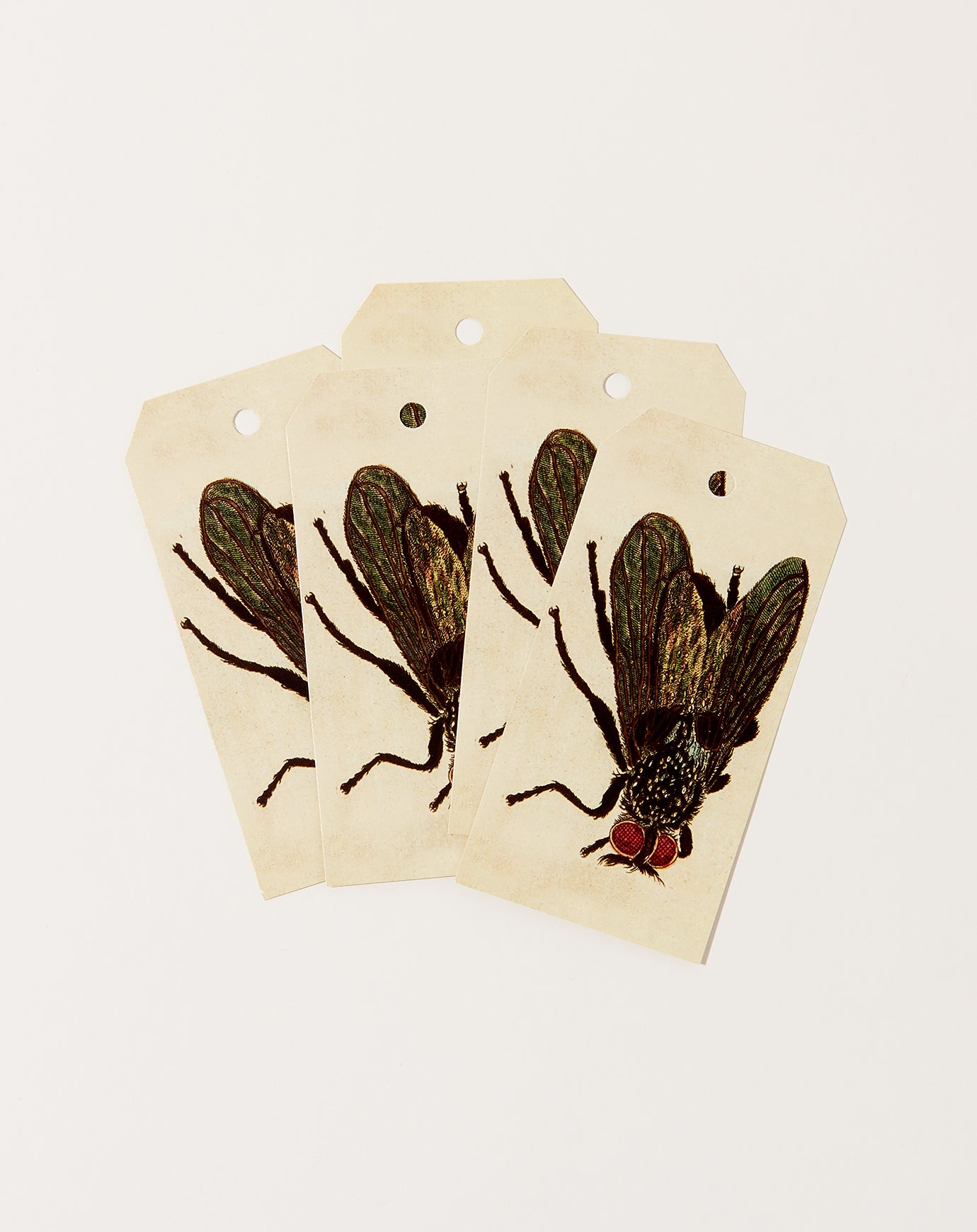 John Derian Fly Gift Tags