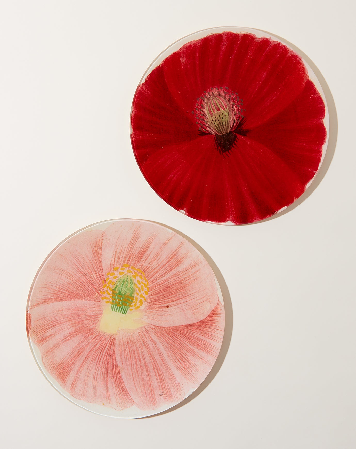 John Derian Simple Pink Poppy 10" Round