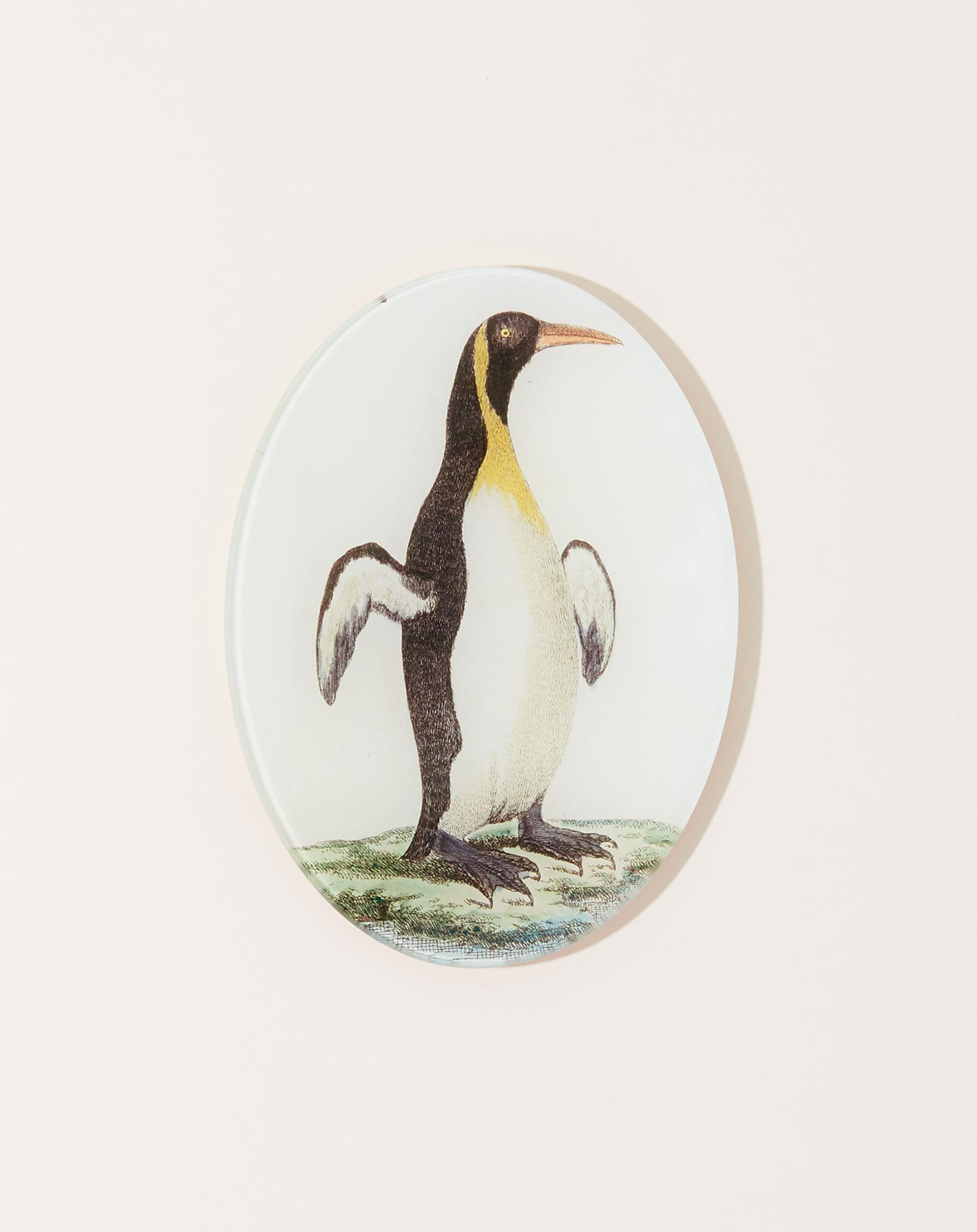 John Derian Guillemot Oval Plate