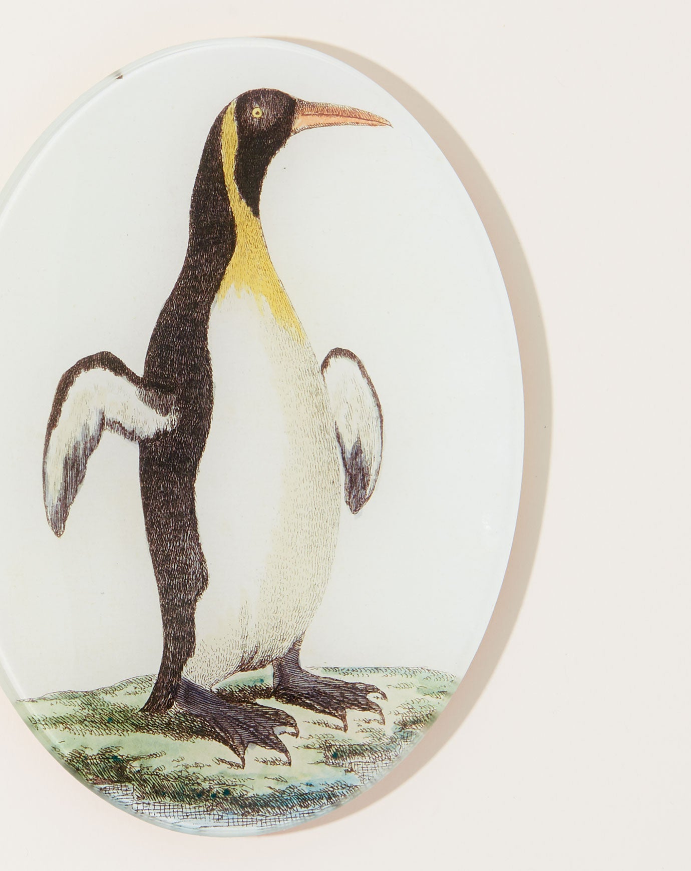 John Derian Guillemot Oval Plate