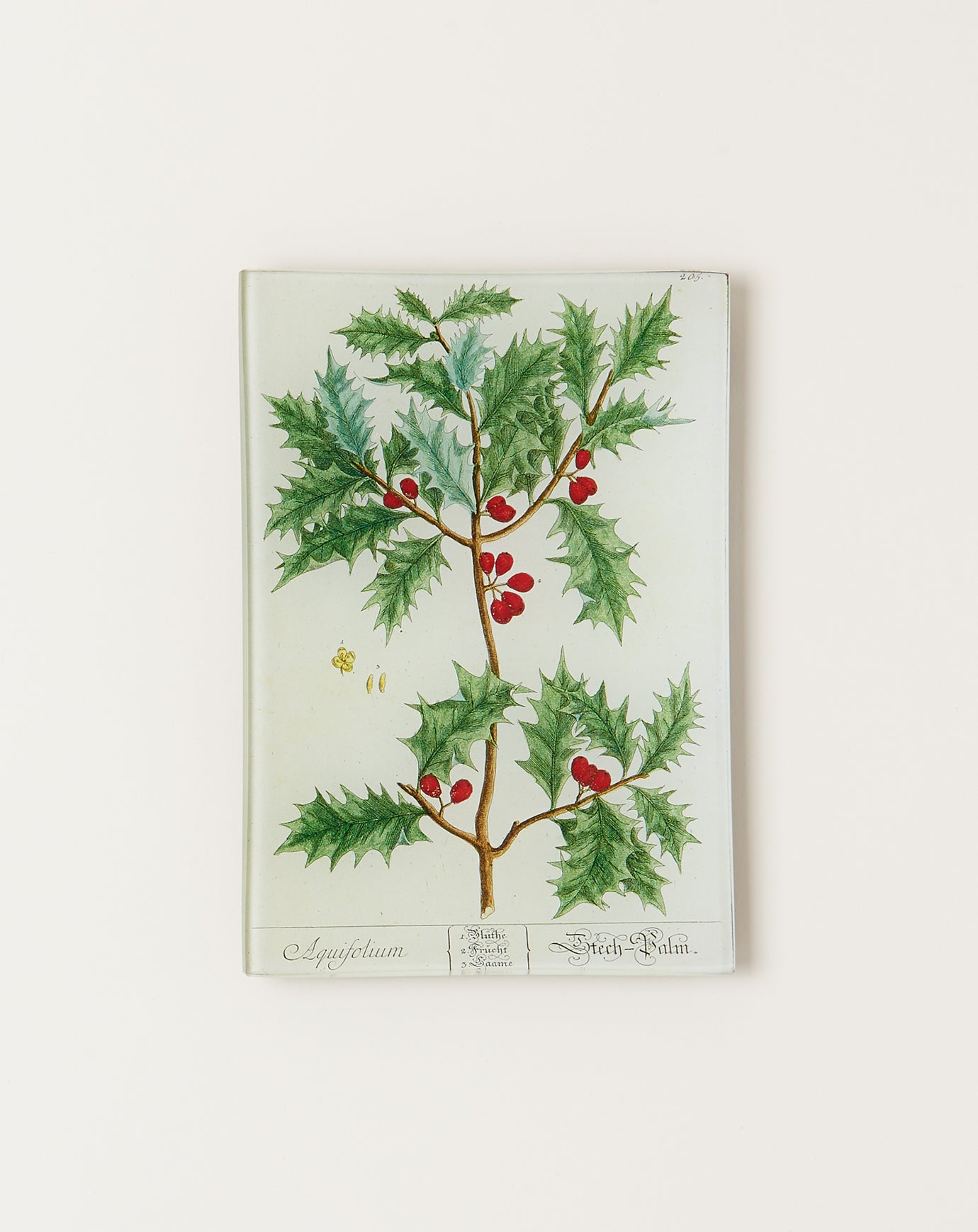 John Derian Holly Mini Tray