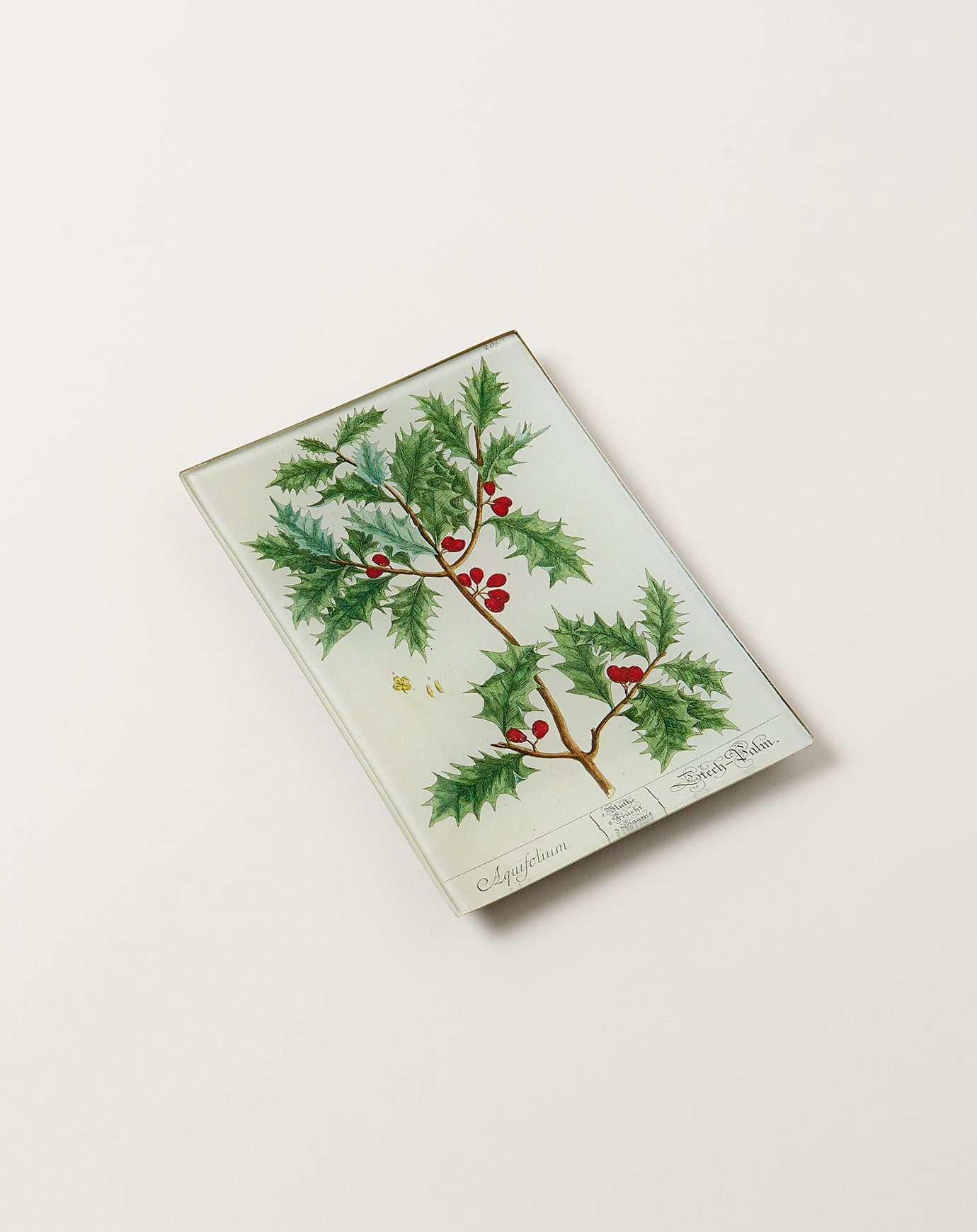 John Derian Holly Mini Tray