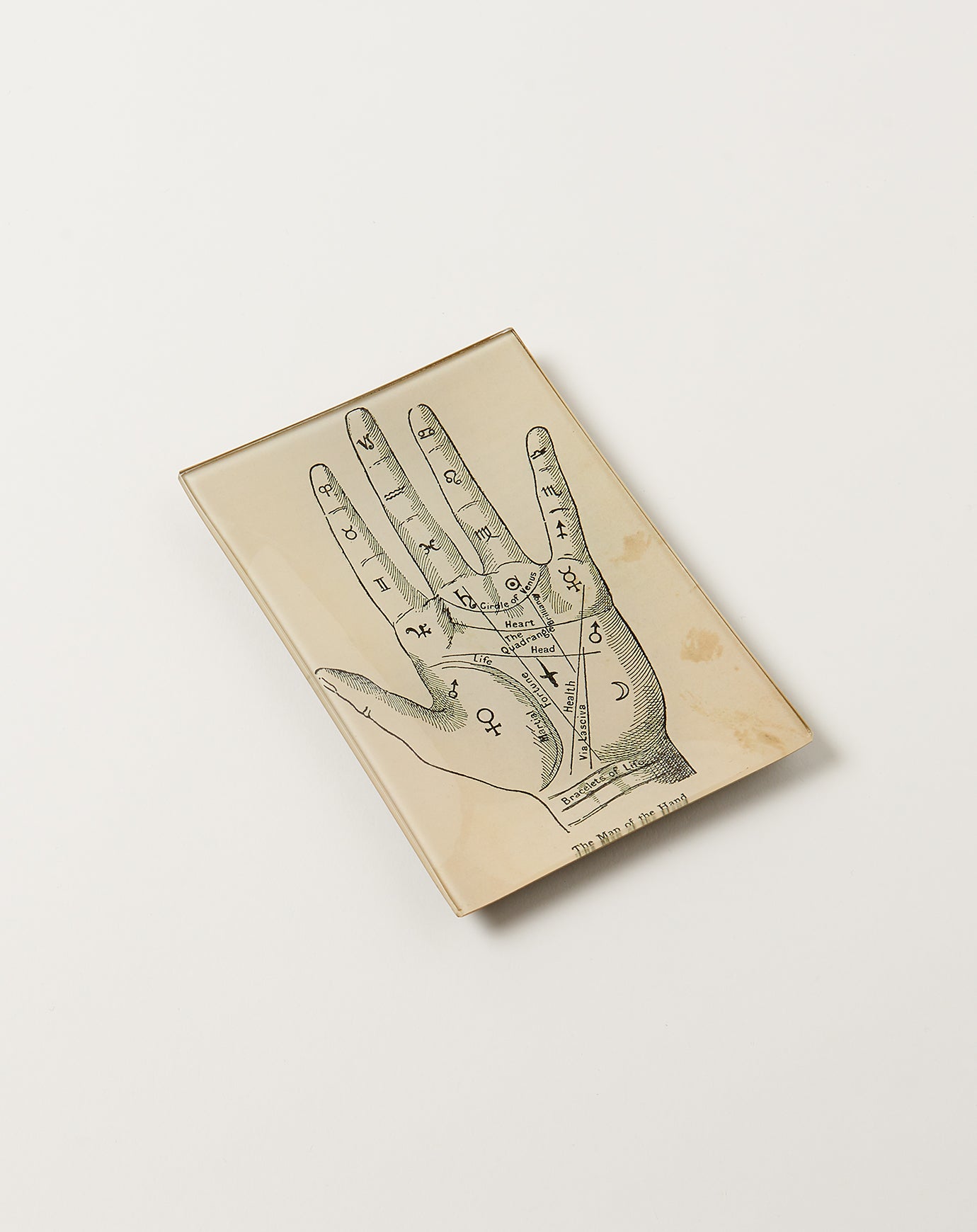 John Derian Map of the Hand Mini Tray