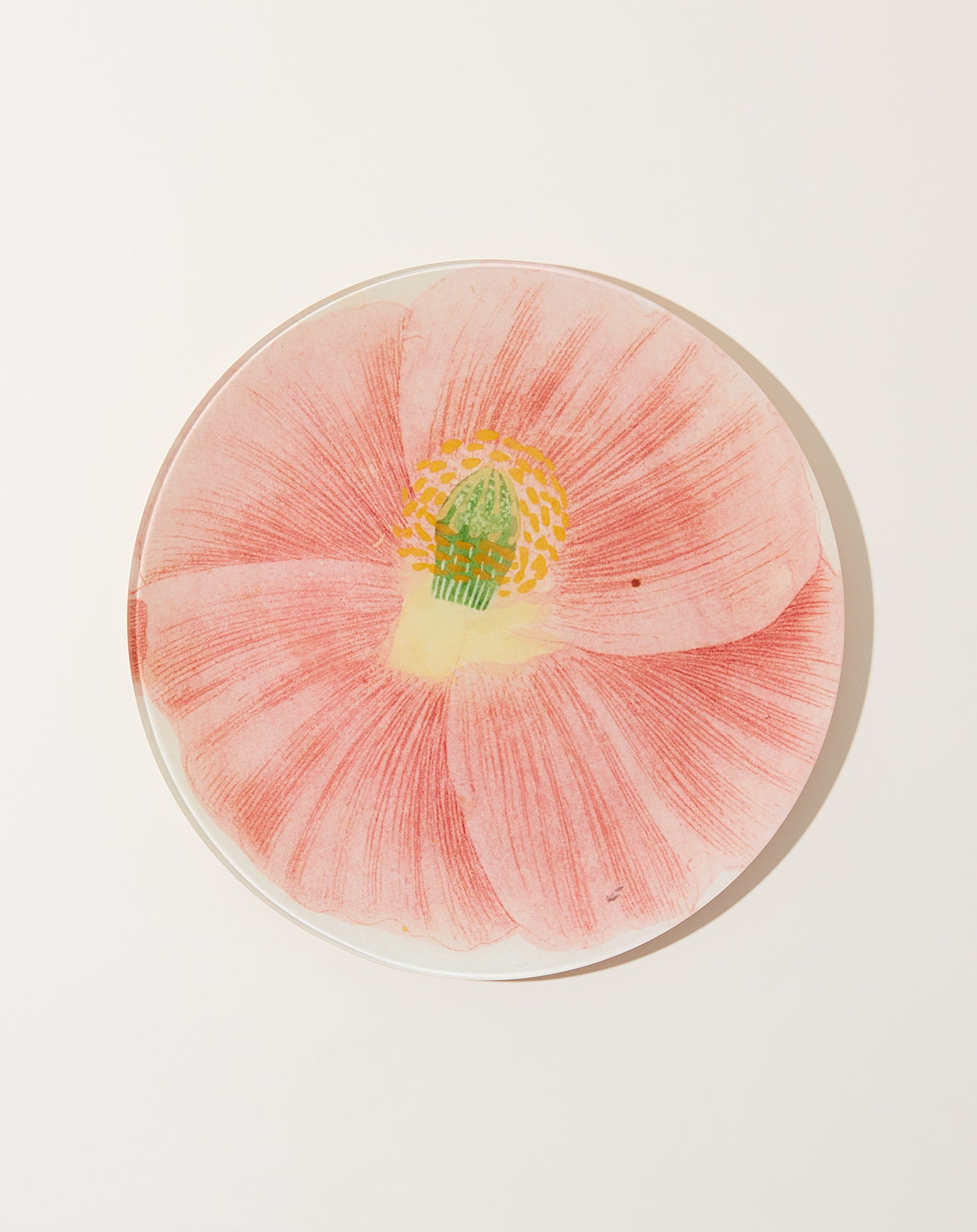 John Derian Simple Pink Poppy 10" Round