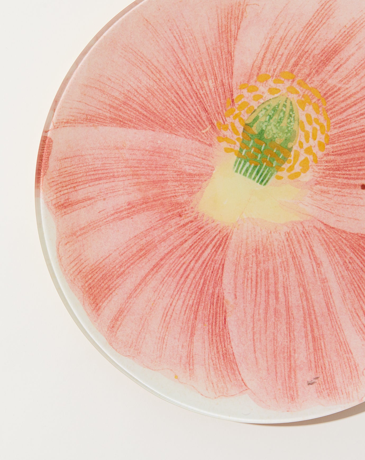 John Derian Simple Pink Poppy 10" Round