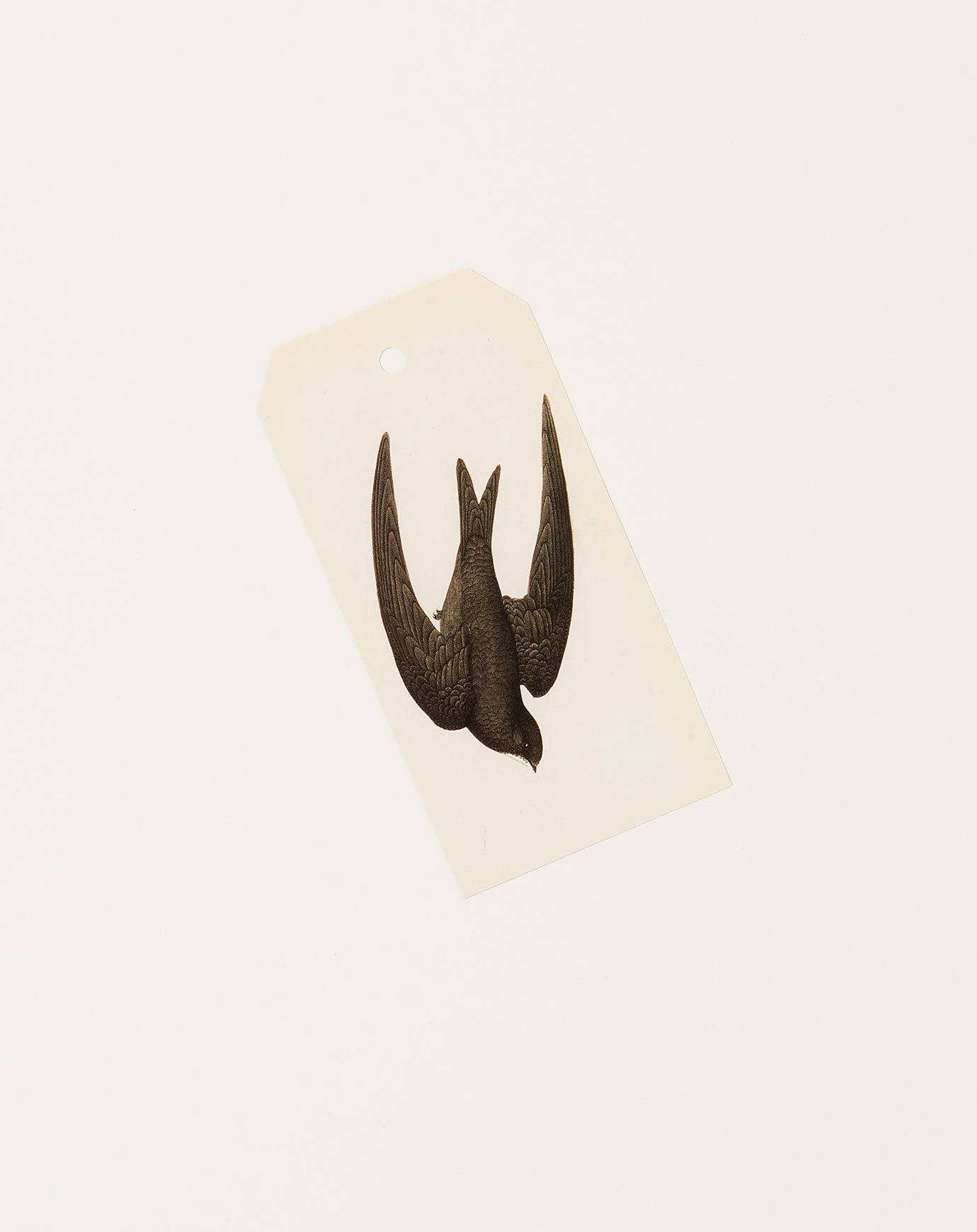 John Derian Swift Bird Gift Tags