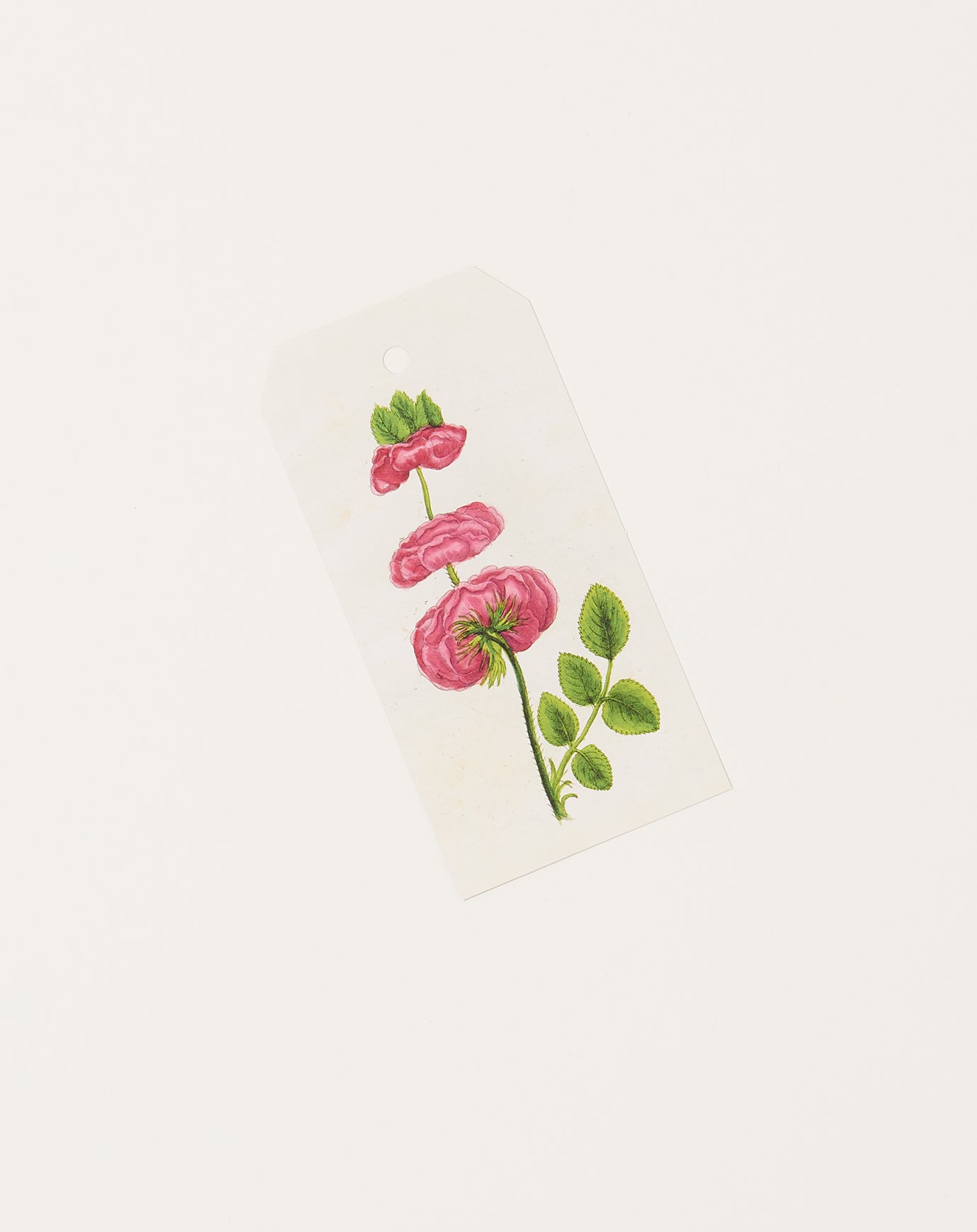 John Derian Tripple Rose Gift Tags