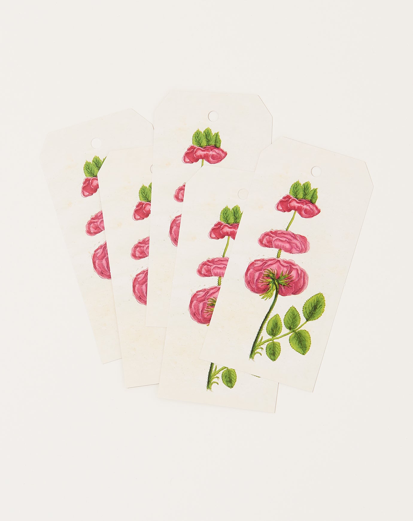 John Derian Tripple Rose Gift Tags