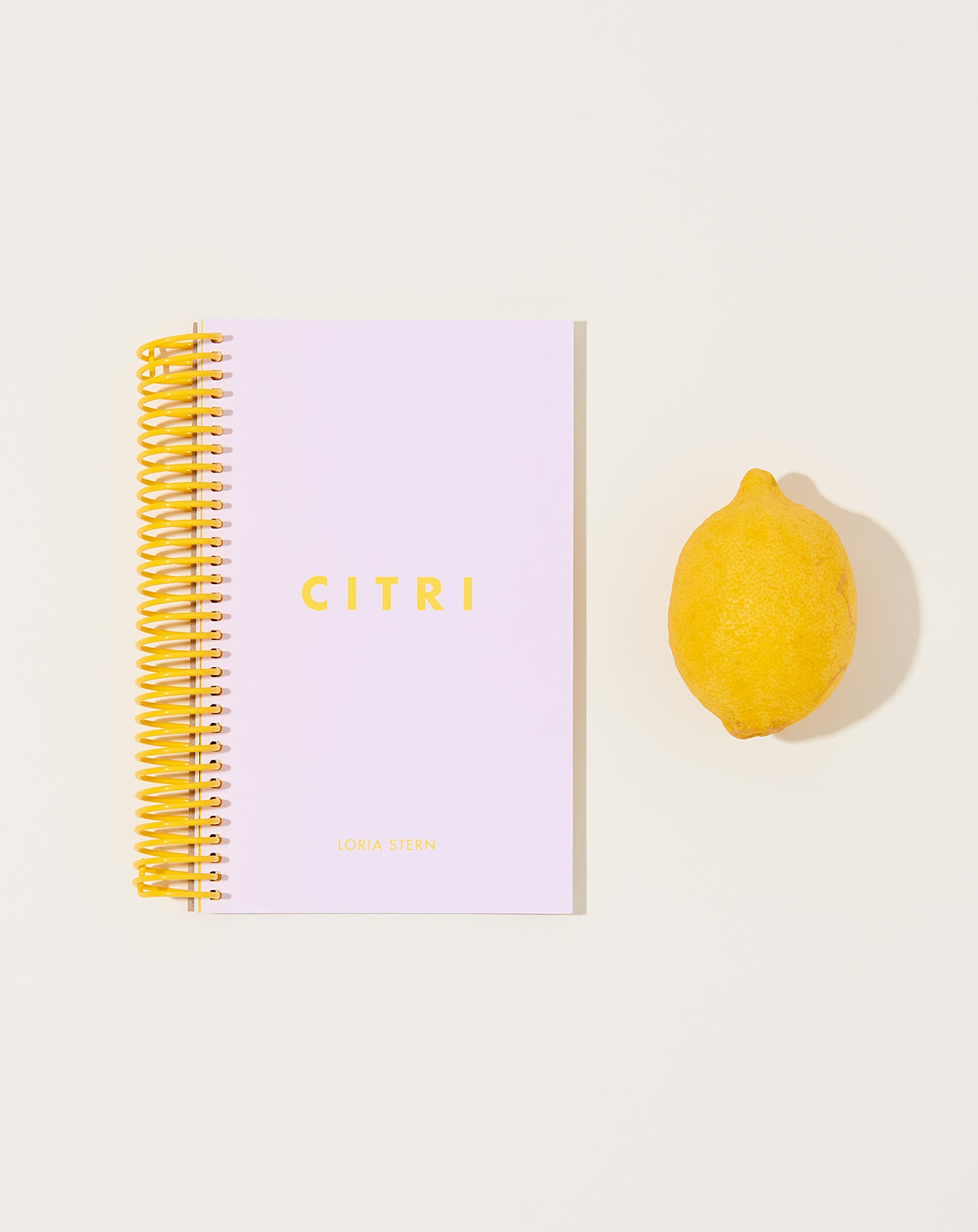 Loria Stern Citri Cookbook Zine