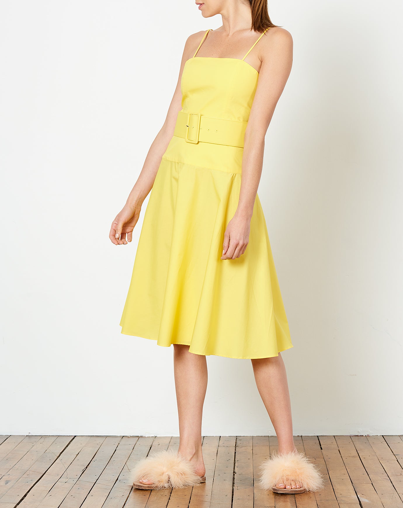 Rachel Antonoff Carter Belted Dress in Yellow