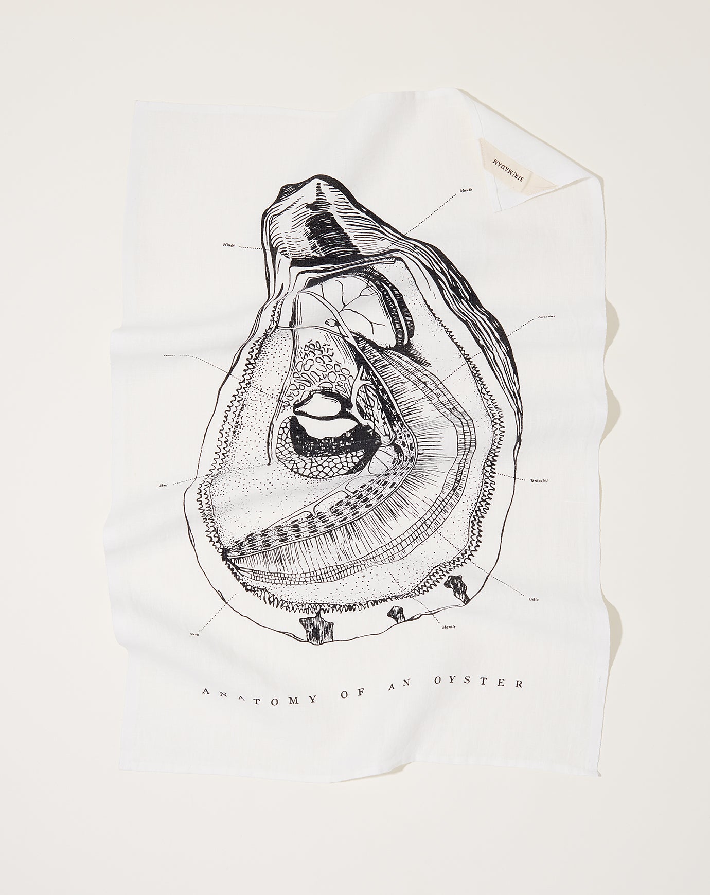 Sir Madam Oyster Anatomy Tea Towel