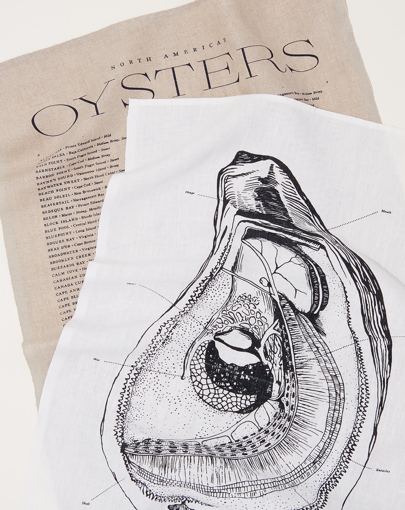 Sir Madam Oyster Anatomy Tea Towel